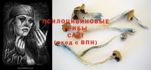 ГАЛЛЮЦИНОГЕННЫЕ ГРИБЫ Волоколамск