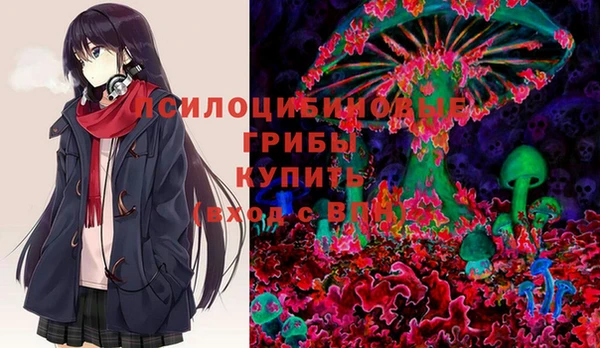 ГАЛЛЮЦИНОГЕННЫЕ ГРИБЫ Волоколамск